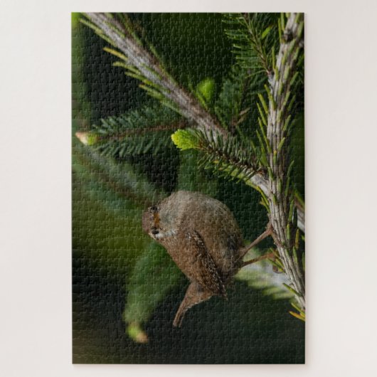 Puzzle Wren (Royaume-Uni) (Vertical)