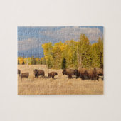 Puzzle Wyoming Buffalo (Horizontal)