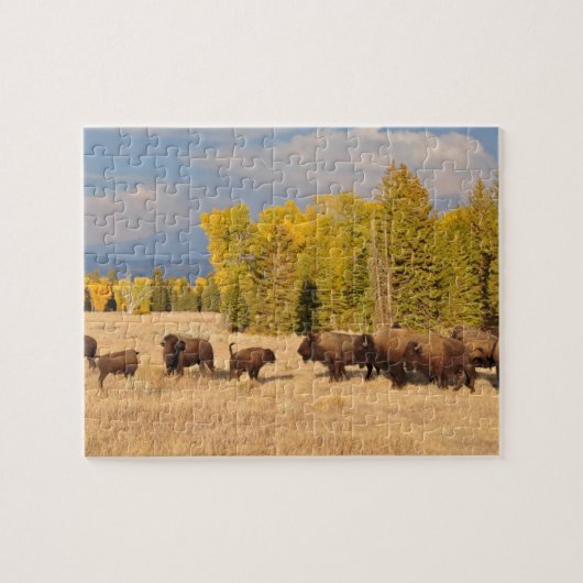 Puzzle Wyoming Buffalo (Horizontal)