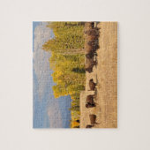 Puzzle Wyoming Buffalo (Vertical)