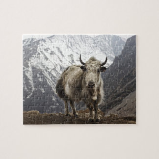 Puzzle Yaks au Népal