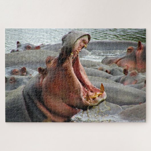 Puzzle yawn hippo (Horizontal)