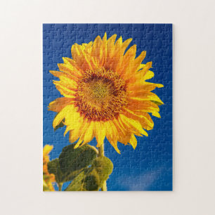 Puzzle Yellow Hardy Sunflower Meilleures photos de tourne