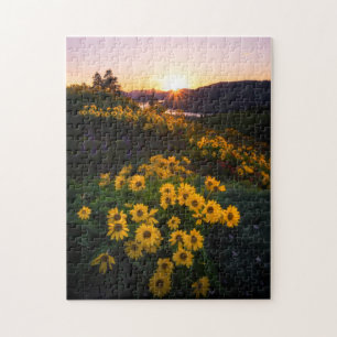 Puzzle Yellow Hardy Sunflower Meilleures photos de tourne