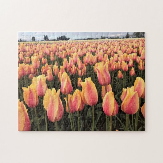Puzzle Yellow & Pink Tulip Field, Oregon (Horizontal)