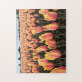 Puzzle Yellow & Pink Tulip Field, Oregon (Vertical)