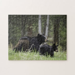 Puzzle Yellowstone Black Beer Legpuzzel