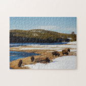 Puzzle Yellowstone Buffalo (Horizontal)