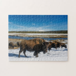 Puzzle Yellowstone Buffalo Legpuzzel