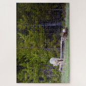 Puzzle Yellowstone - Curious Coyote - 20x30 - 1014 pcs. (Vertical)