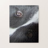 Puzzle Yeux de Berger des Shetland (Vertical)