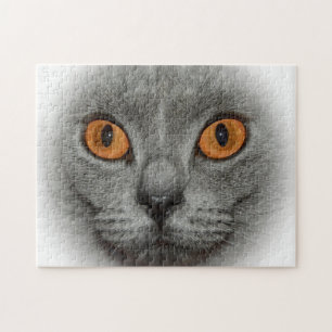 Puzzle Yeux de chat