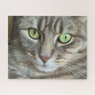 Puzzle Yeux d'émeraude – Portrait d'un chat aux yeux vert