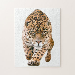 Puzzle Yeux Jaguar spéciaux exclusifs