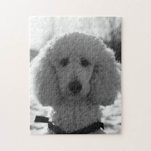 Puzzle Yeux noirs et blancs de chiot de visage de caniche (Vertical)