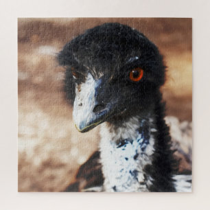 Puzzle Yeux perçants de l'Outback