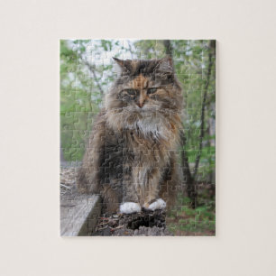 Puzzle Yipper Photographie de chat Cherie's Art(c)202