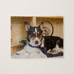 Puzzle Yogi le chien de la Science