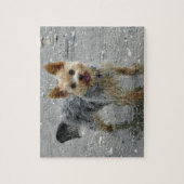 Puzzle Yorkie à la plage (Vertical)