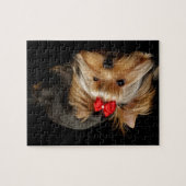 Puzzle Yorkie mignon (Horizontal)