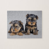 Puzzle Yorkies (Horizontal)