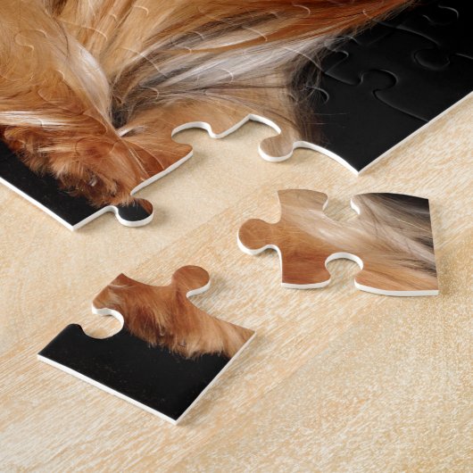 Puzzle Yorkshire Terrier (Côté)