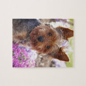 Puzzle Yorkshire Terrier (Horizontal)