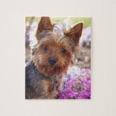 Puzzle Yorkshire Terrier (Vertical)