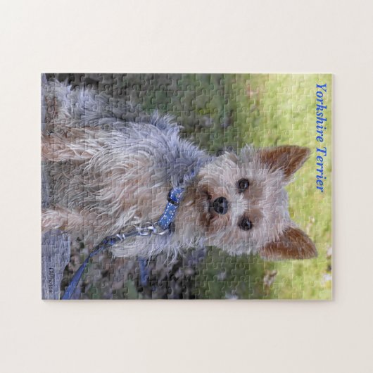 Puzzle Yorkshire Terrier (Horizontal)