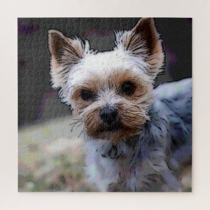 Puzzle Yorkshire terrier, chien, animal de compagnie