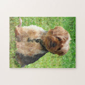 Puzzle Yorkshire Terrier dans Park (Horizontal)