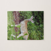 Puzzle Young Buck in Velvet (Horizontal)