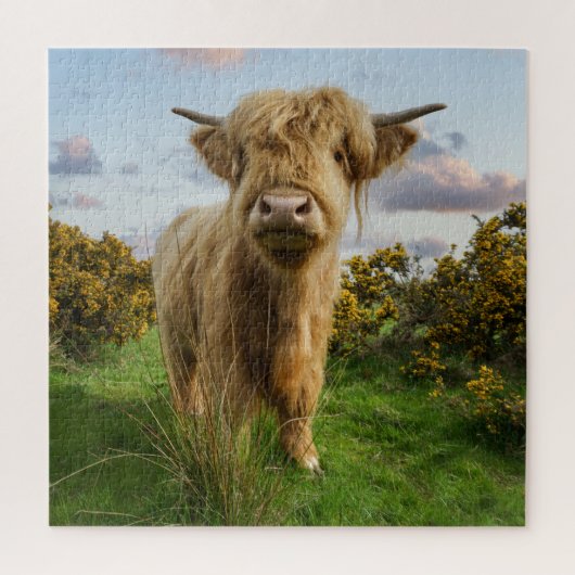 Puzzle Young Highland Cow (Vertical)