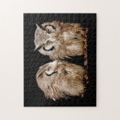 Puzzle Young Owlets (Vertical)