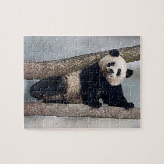 Puzzle Young Panda climbing a tree, Chine (Horizontal)