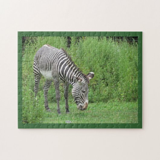Puzzle Zebra (Horizontal)