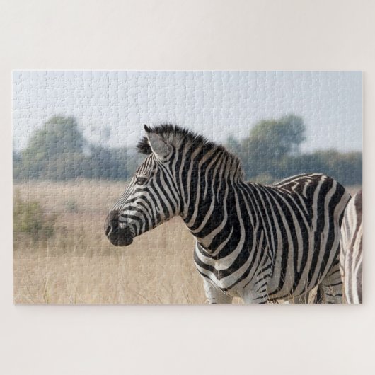 Puzzle Zebra au safari (Horizontal)