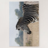 Puzzle Zebra au safari (Vertical)