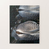Puzzle Zebra Butts La faune amusante (Vertical)
