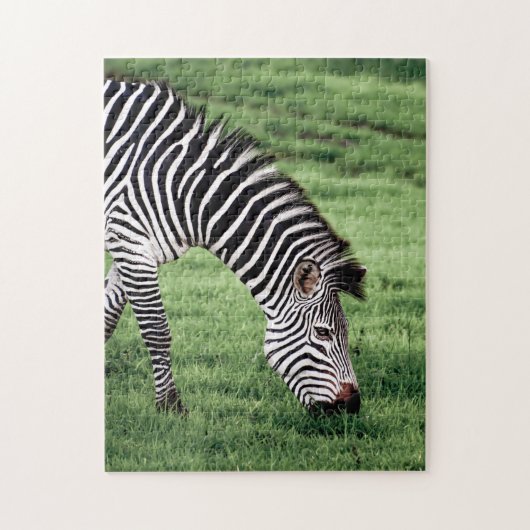 Puzzle Zebra Grazing (Vertical)