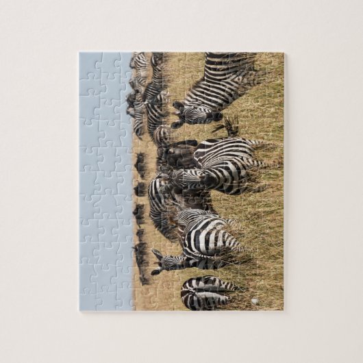Puzzle Zebra Jigsaw de Grant (Vertical)