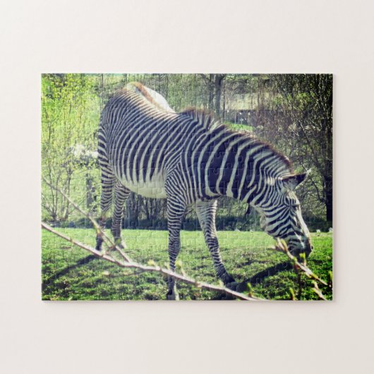 Puzzle Zebra Relaxing Self-Care (Horizontal)