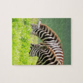 Puzzle Zebras (Horizontal)
