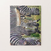 PUZZLE ZEBRAS (Vertical)