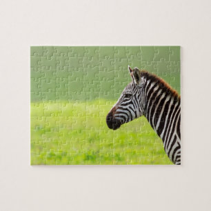 Puzzle Zèbre