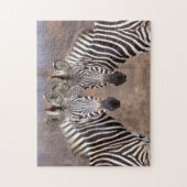 Puzzle Zèbres de la plaine, Parc national de Kruger (Vertical)