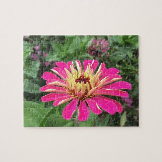 Puzzle ZINNIA - Vibrant Pink and Cream - (Horizontal)