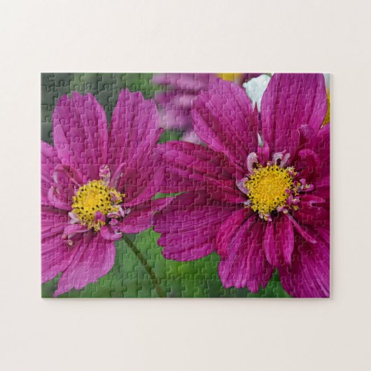 Puzzle Zinnia violette (Horizontal)