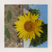 Puzzle - Zonnebloem tegen hek Legpuzzel (Horizontaal)