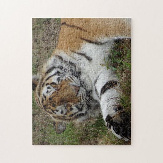 Puzzle Zoo Puzzle: Beautiful Tiger (Vertical)